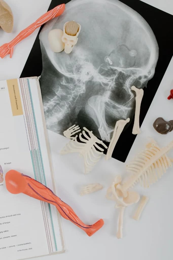 Digital Radiography Imaging Facility